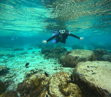 沖縄マリンサービス碧に投稿された画像（2024/12/31）