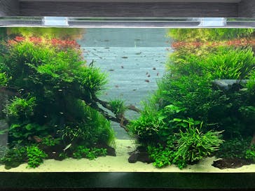 すみだ水族館に投稿された画像（2024/12/31）