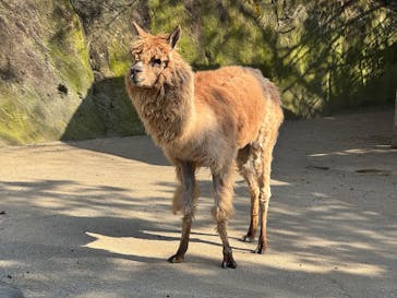 長崎バイオパークに投稿された画像（2024/12/31）