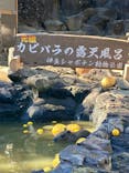 伊豆シャボテン動物公園に投稿された画像（2024/12/31）