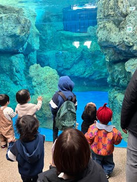 京都水族館に投稿された画像（2024/12/31）