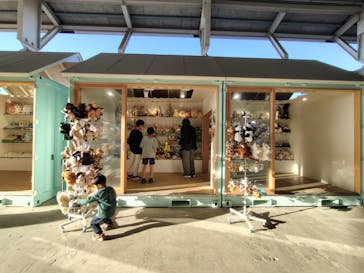 霞ケ浦 どうぶつとみんなのいえに投稿された画像（2024/12/31）