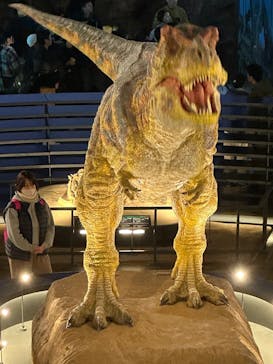 福井県立恐竜博物館に投稿された画像（2024/12/31）