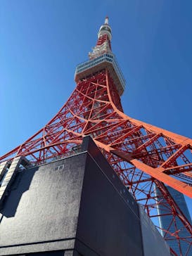 東京タワーに投稿された画像（2024/12/31）