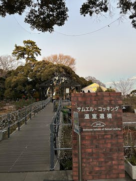 江の島シーキャンドルに投稿された画像（2024/12/31）