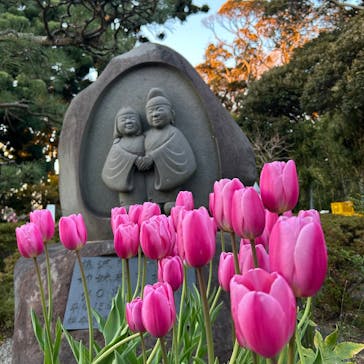 江の島シーキャンドルに投稿された画像（2024/12/31）