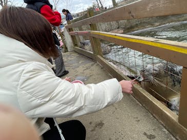 那須どうぶつ王国に投稿された画像（2024/12/31）