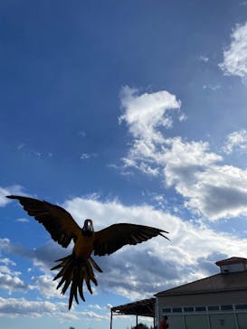 那須どうぶつ王国に投稿された画像（2024/12/31）