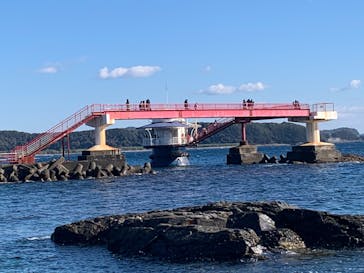 串本海中公園水族館に投稿された画像（2024/12/31）