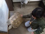 しろとり動物園に投稿された画像（2024/12/31）