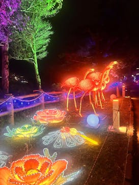 クリスマスファンタジー実行委員会に投稿された画像（2024/12/31）