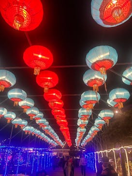 クリスマスファンタジー実行委員会に投稿された画像（2024/12/31）