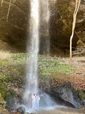 ジャパンだるまツアーに投稿された画像（2024/12/31）