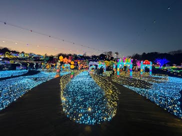 伊豆高原グランイルミに投稿された画像（2024/12/31）