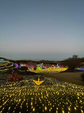 伊豆高原グランイルミに投稿された画像（2024/12/31）