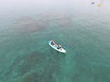 ダイビングショップ Sea Free（シーフリー）に投稿された画像（2024/12/31）