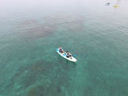 ダイビングショップ Sea Free（シーフリー）に投稿された画像（2024/12/31）