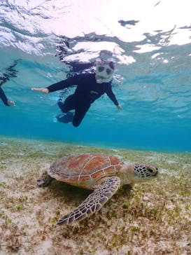 ちゃこたびに投稿された画像（2024/12/31）