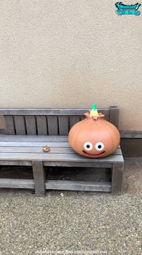 ニジゲンノモリに投稿された画像（2024/12/31）