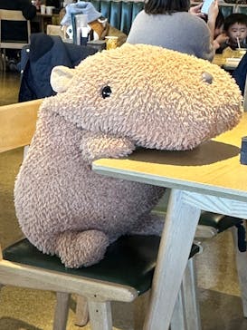 伊豆シャボテン動物公園に投稿された画像（2024/12/31）