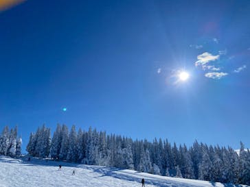 岩原スキー場に投稿された画像（2024/12/31）