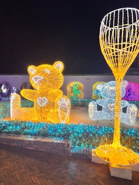 神戸イルミナージュに投稿された画像（2024/12/31）