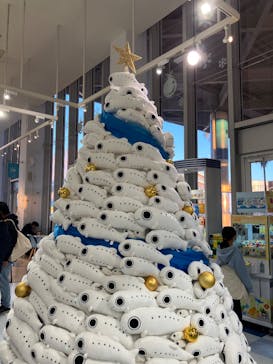 江の島シーキャンドル×新江ノ島水族館に投稿された画像（2024/12/31）