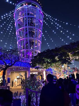 江の島シーキャンドル×新江ノ島水族館に投稿された画像（2024/12/31）