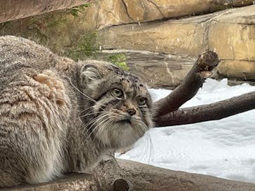 那須どうぶつ王国に投稿された画像（2024/12/31）