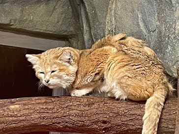 那須どうぶつ王国に投稿された画像（2024/12/31）