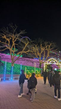 さがみ湖MORI MORIに投稿された画像（2024/12/31）