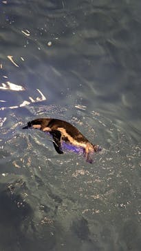 すみだ水族館に投稿された画像（2024/12/31）