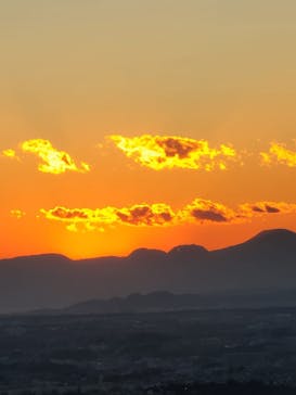 横浜ランドマークタワー 69階展望フロア スカイガーデンに投稿された画像（2024/12/31）