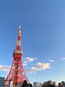 東京タワーに投稿された画像（2024/12/31）