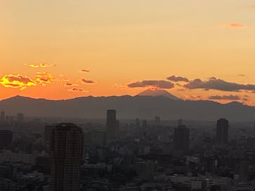 東京タワーに投稿された画像（2024/12/31）