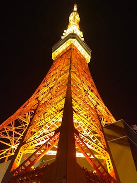 東京タワーに投稿された画像（2024/12/31）