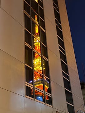 東京タワーに投稿された画像（2024/12/31）