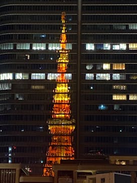 東京タワーに投稿された画像（2024/12/31）