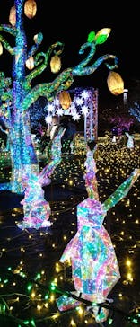 伊豆高原グランイルミに投稿された画像（2024/12/31）