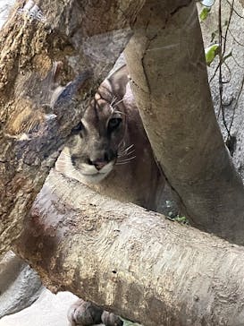 神戸どうぶつ王国に投稿された画像（2024/12/31）