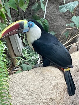 神戸どうぶつ王国に投稿された画像（2024/12/31）