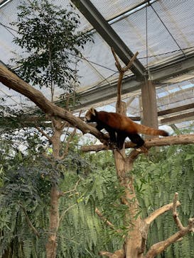 神戸どうぶつ王国に投稿された画像（2024/12/31）