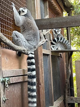 神戸どうぶつ王国に投稿された画像（2024/12/31）