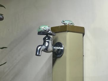 大分マリーンパレス水族館 「うみたまご」に投稿された画像（2024/12/31）