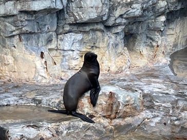 大分マリーンパレス水族館 「うみたまご」に投稿された画像（2024/12/31）