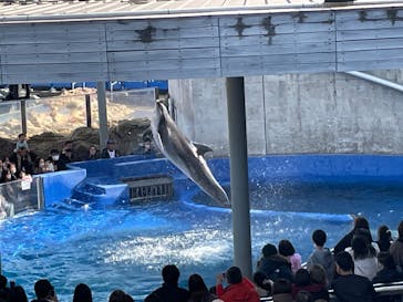 大分マリーンパレス水族館 「うみたまご」に投稿された画像（2024/12/31）