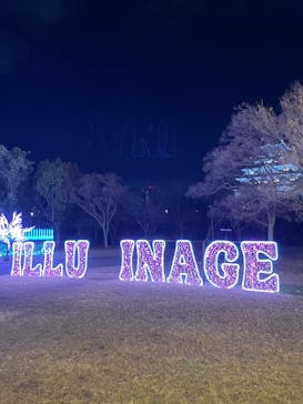 大阪城イルミナージュに投稿された画像（2024/12/31）