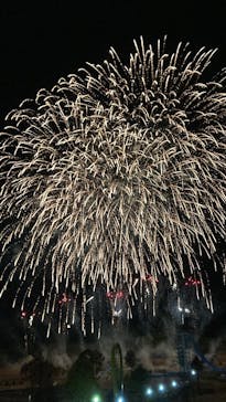 グリーンランドに投稿された画像（2024/12/31）