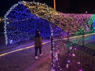 グリーンランドに投稿された画像（2024/12/31）