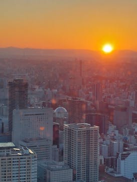 屋外展望台スカイプロムナードに投稿された画像（2024/12/31）